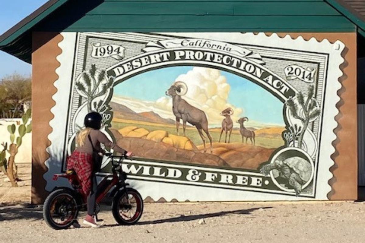 High Desert Ebikes Twentynine Palms California