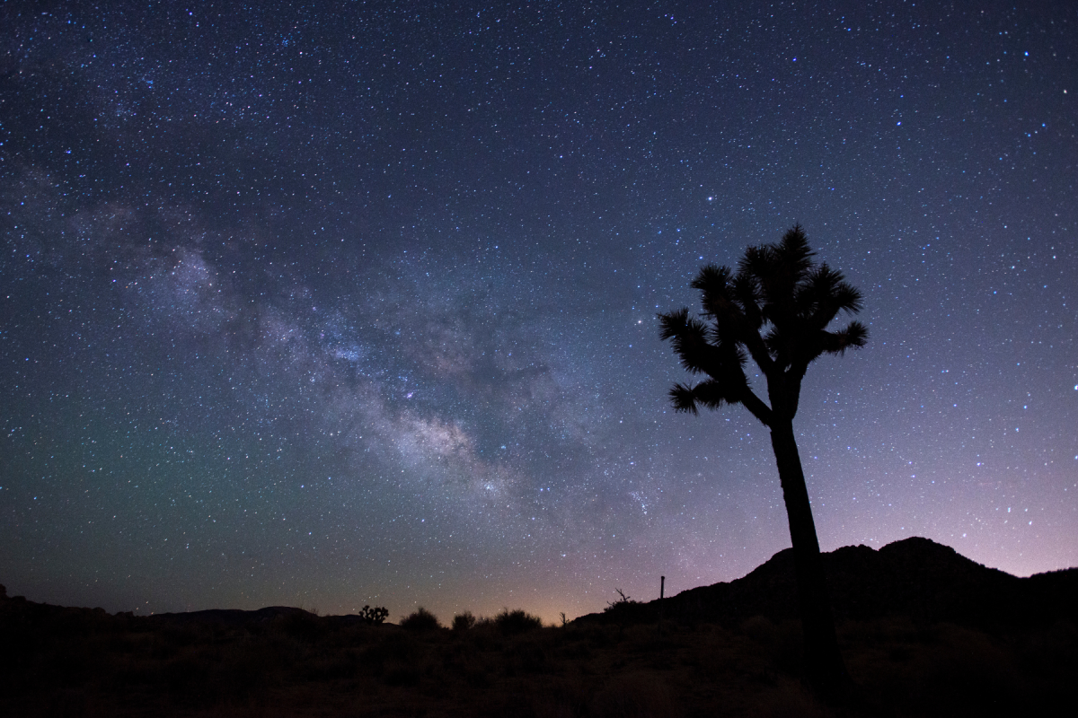 The Milky Way stretches across the night sky above a Joshua tree in Joshua Tree National Park, just outside Twentynine Palms, California.