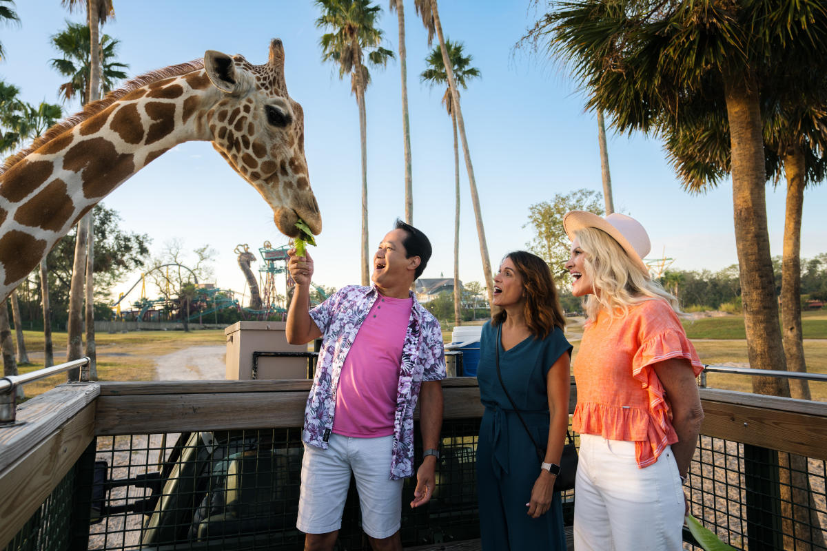 Busch Gardens friends feeding giraffe