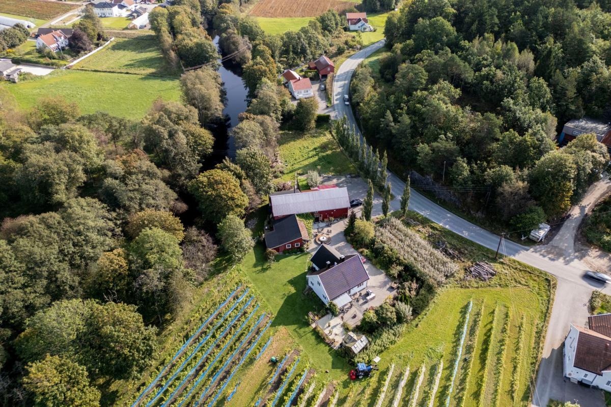 Dronefoto av Skudeneset Gaard
