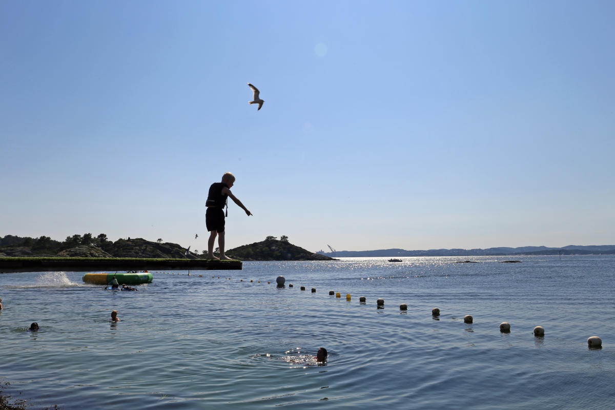 Stupebrett på Kristiansand Feriesenter Dvergsnestangen