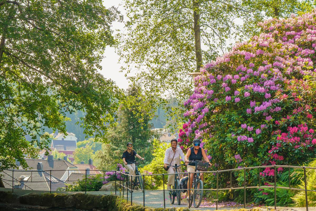 Tre damer på sykkeltur gjennom Kristiansand.