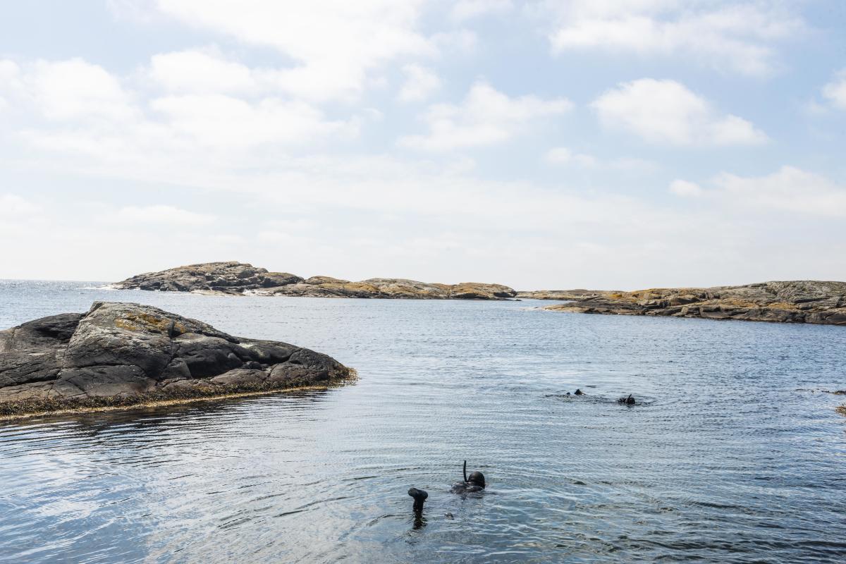 Snorkletur med Kote Null utenfor Gjeving