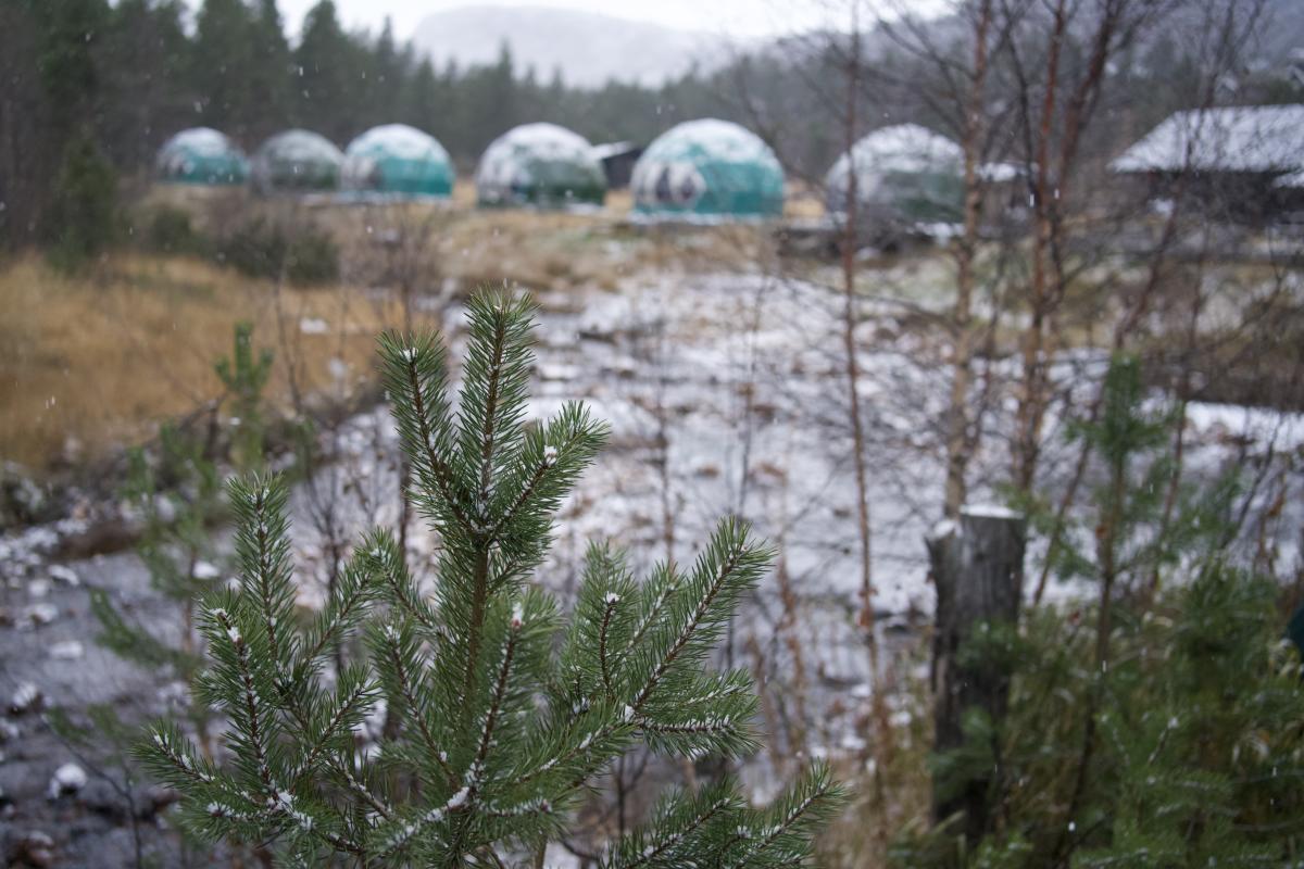 Brokkestøylen i snøvær