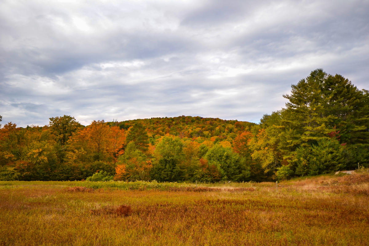 Dean Farm Heritage Trail