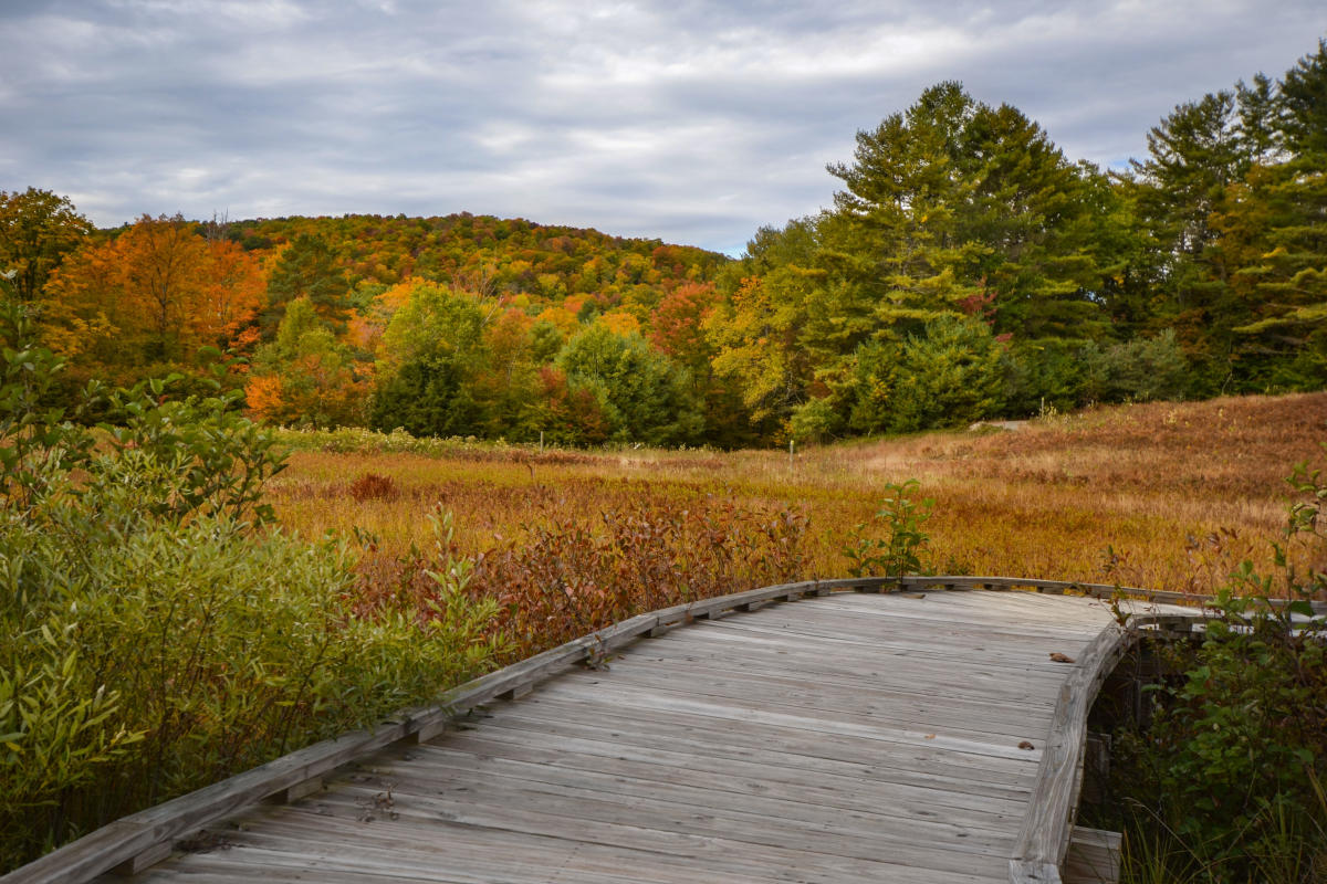 Dean Farm Heritage Trail