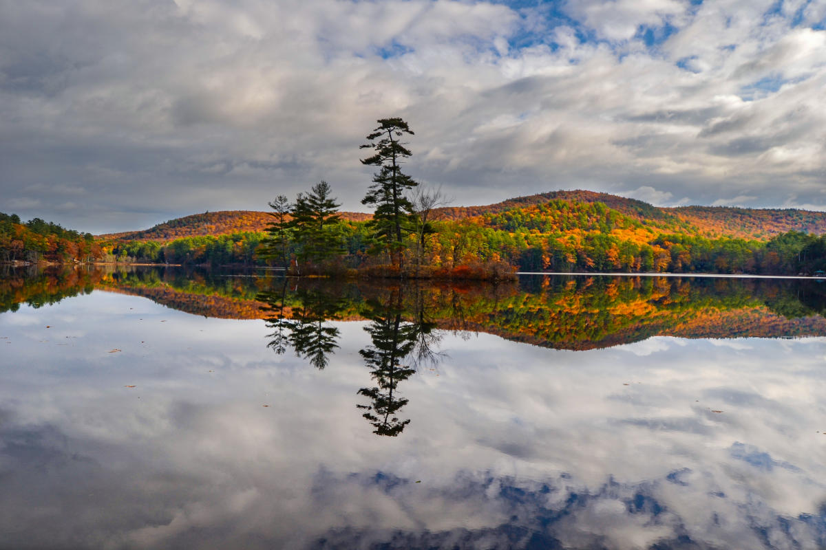 Wayside Beach, Ivy Island