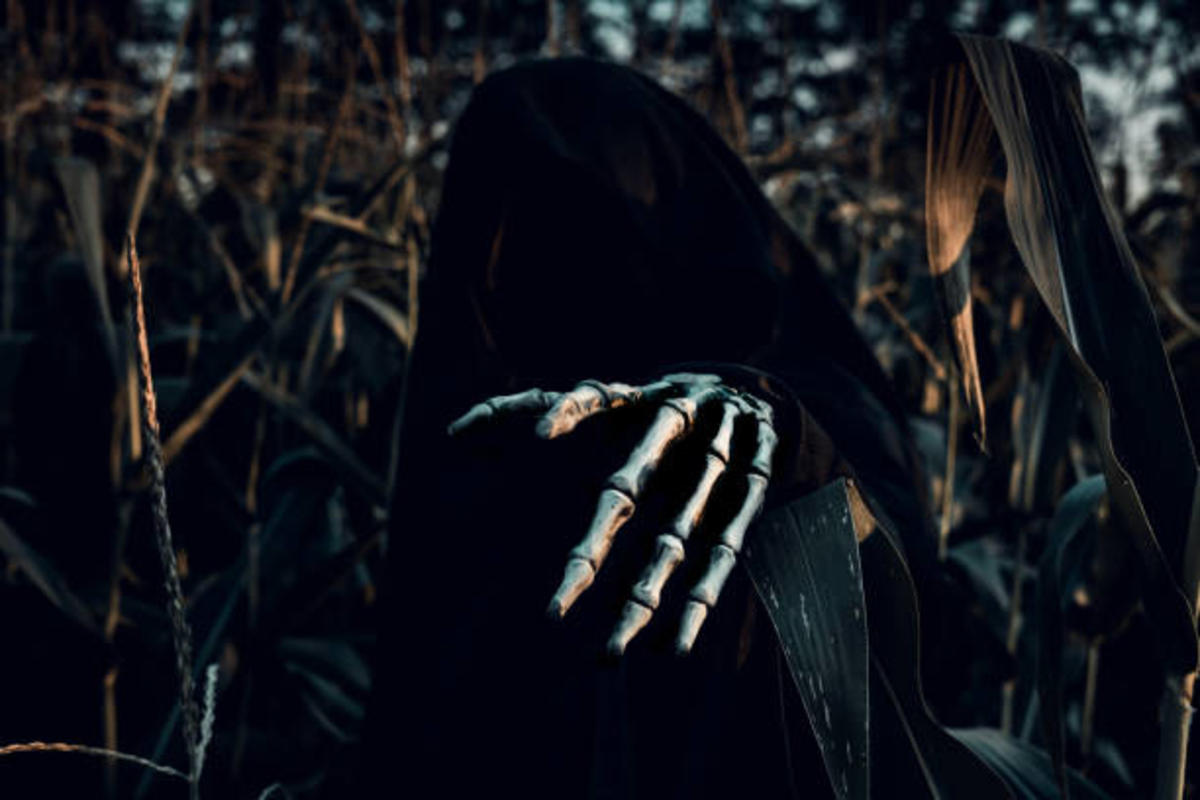 AngCo After Dark Haunted Corn Field