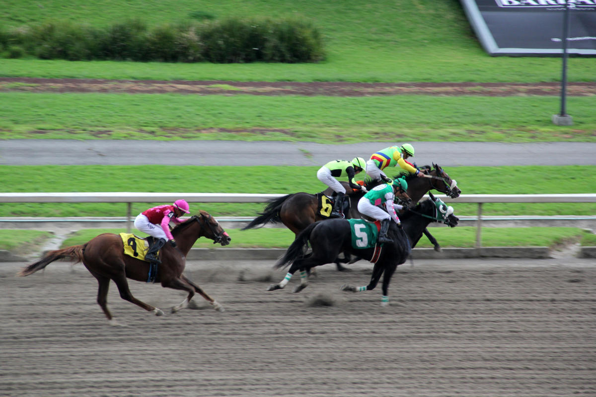 Horse-Racing-San-Diego