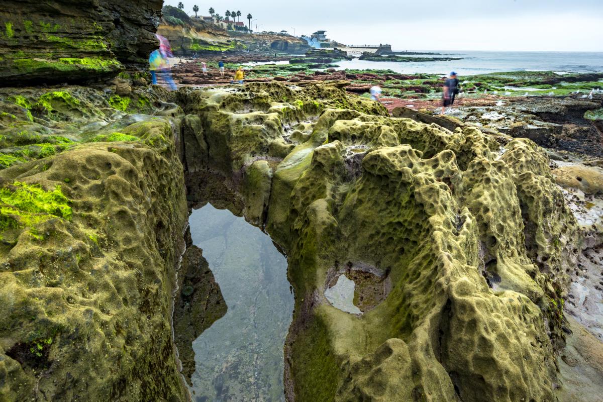 La-Jolla-Tide-Pools