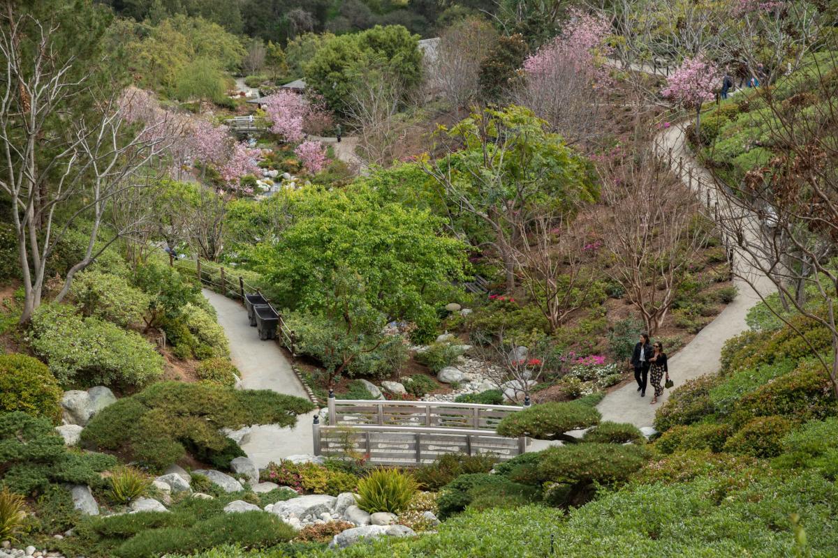 japanese-friendship-garden-balboa-park-san-diego