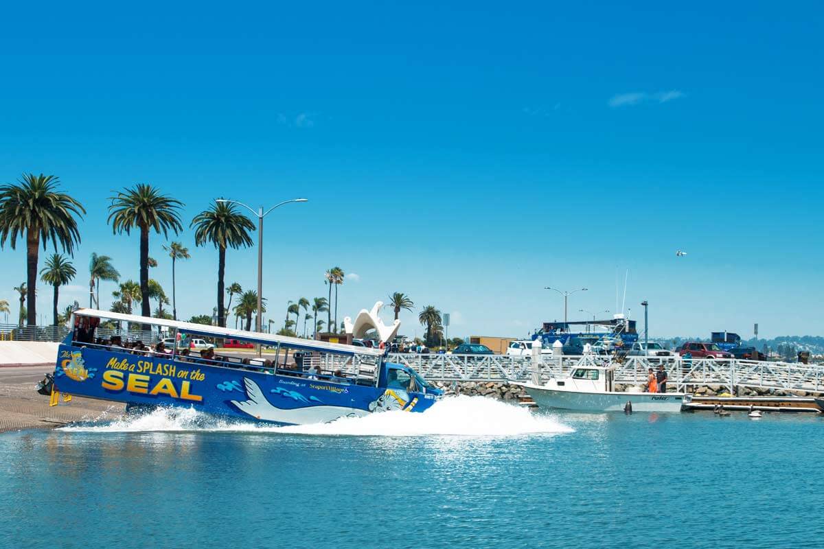 San-Diego-Seal-Tours
