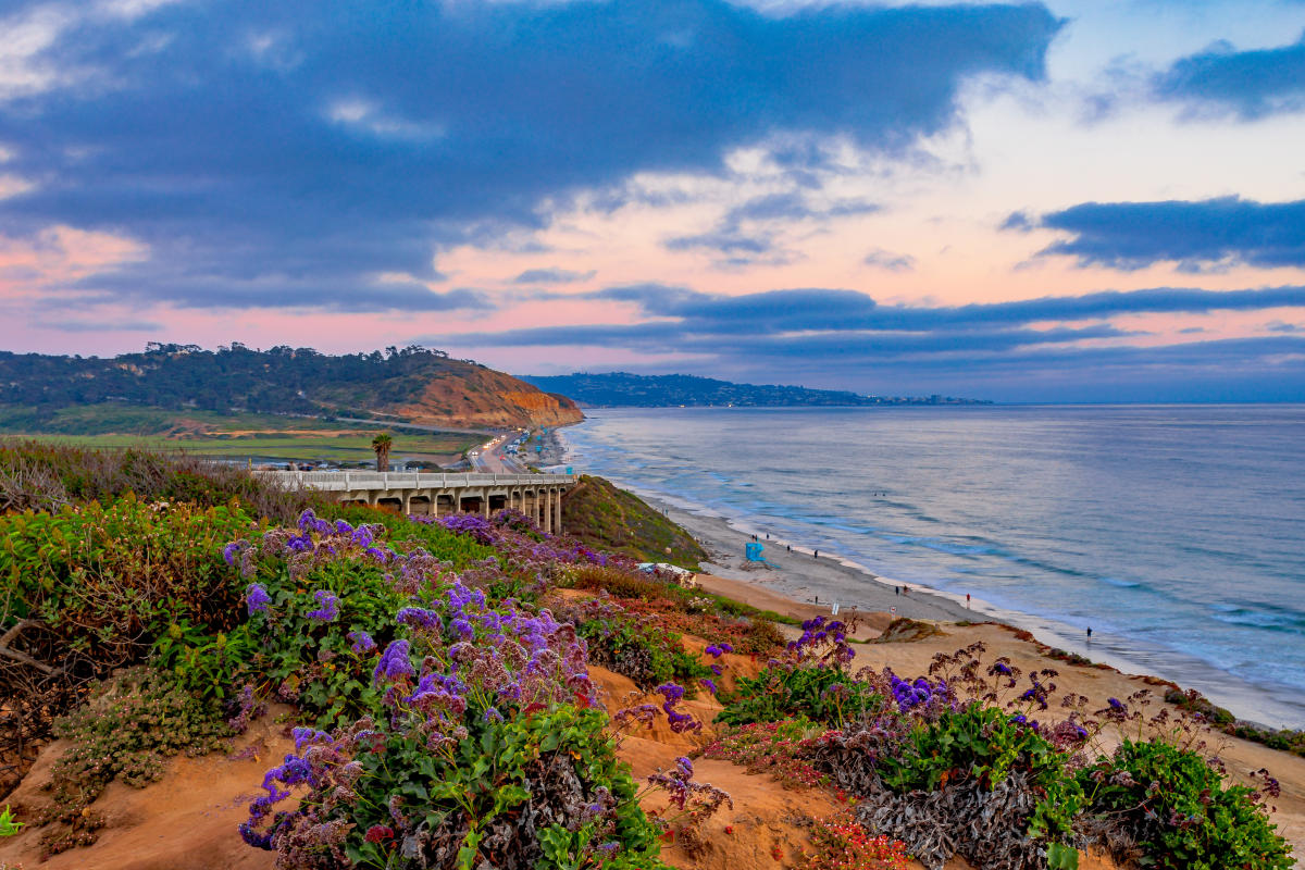 Torrey-Pines-State-Beach