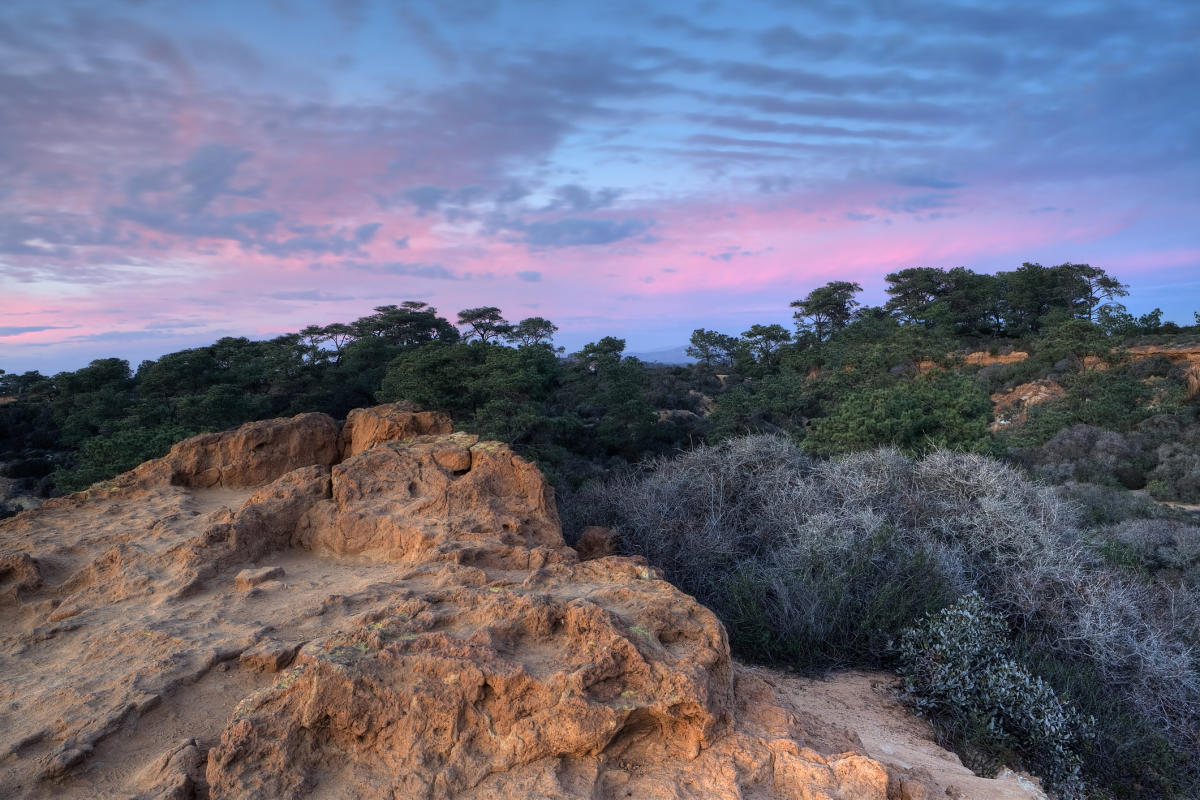 Torrey-Pines-State-Reserve-San-Diego