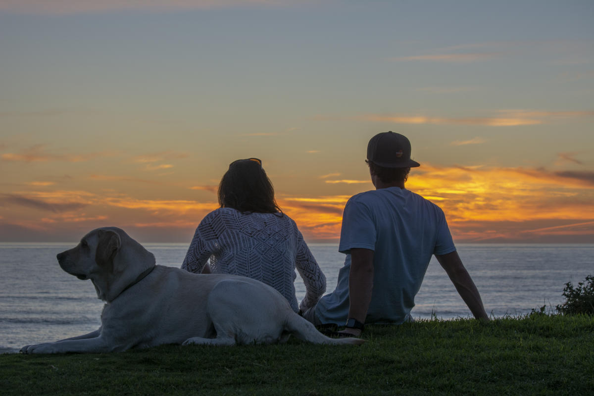 Dog Beach San Diego