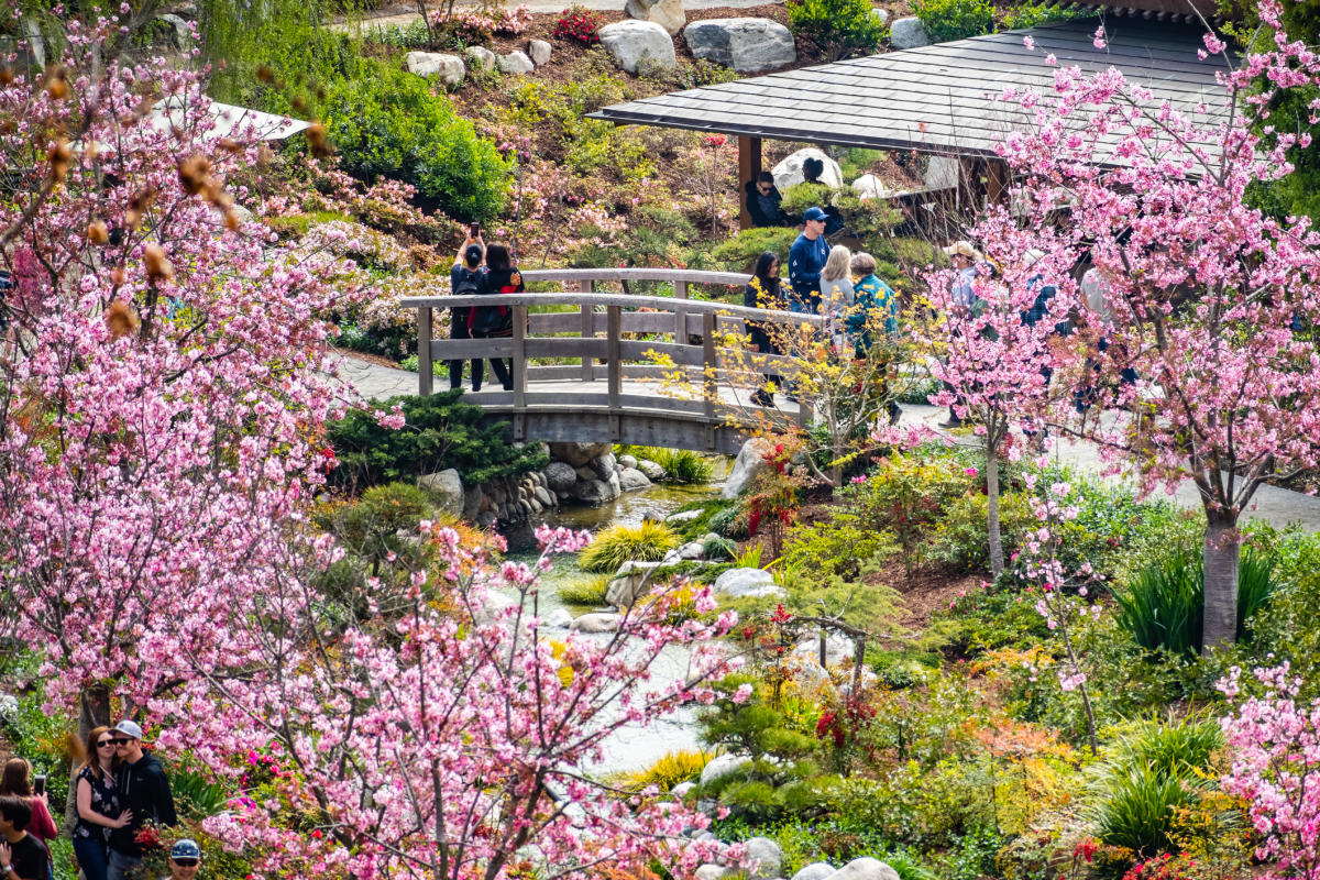 Japanese Friendship Garden Balboa Park