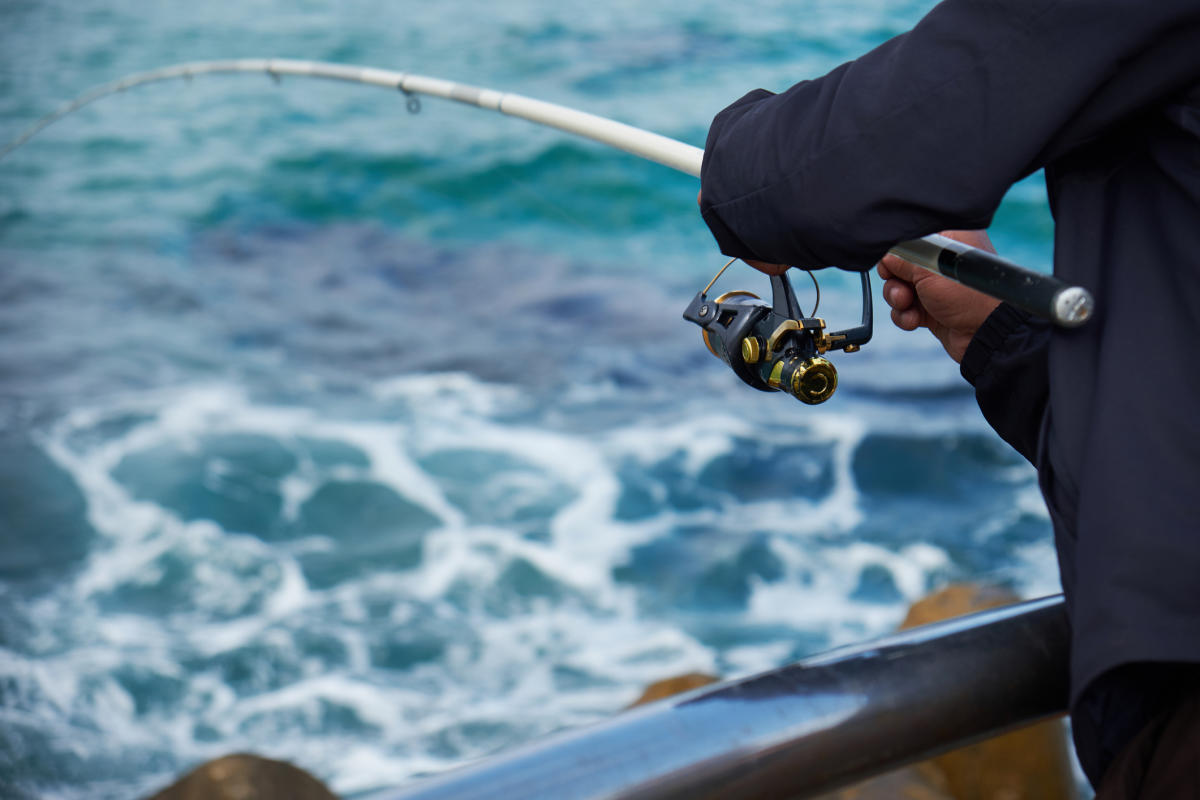 San Diego Lobster Season