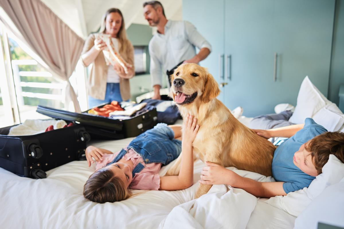 Pet-Friendly-Hotel