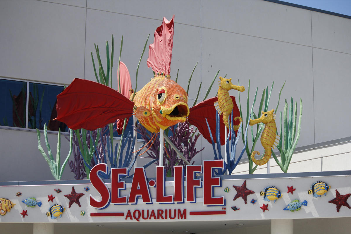 Legoland SeaLife Aquarium