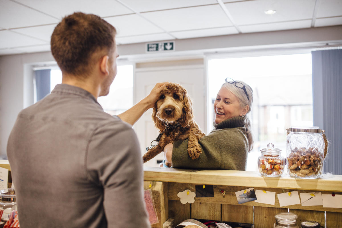 Pet-Friendly-Hotel