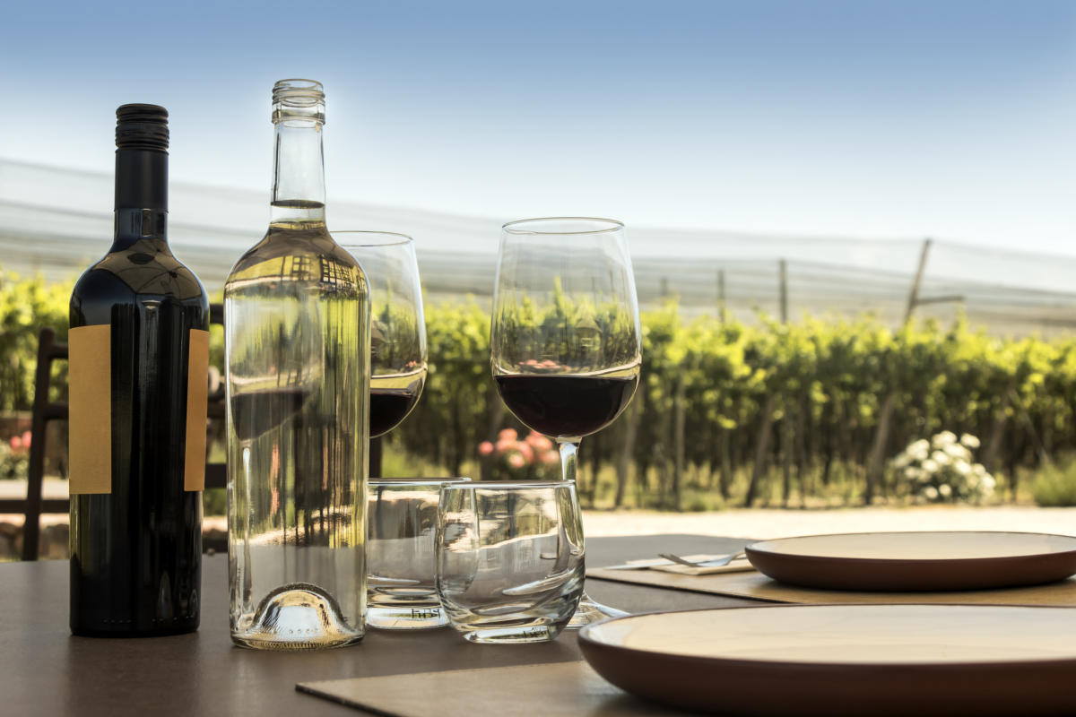wine-tasting-tour