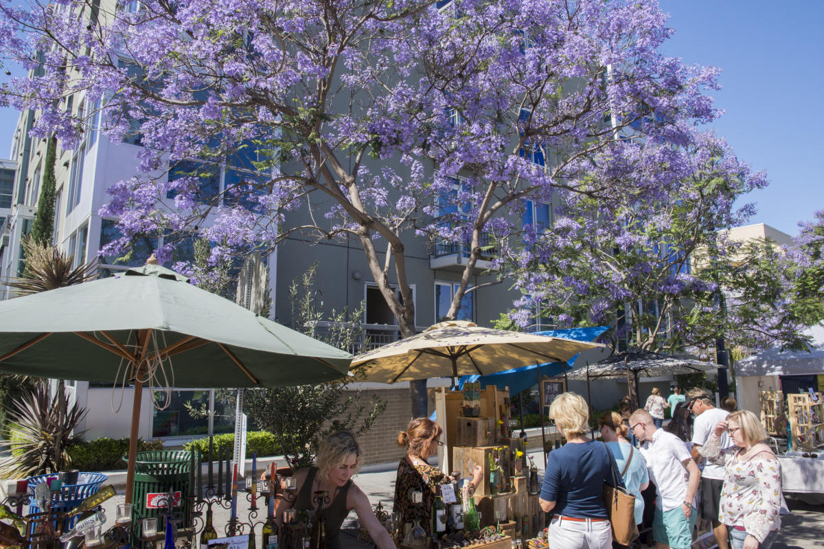 Little Italy Farmer's Market