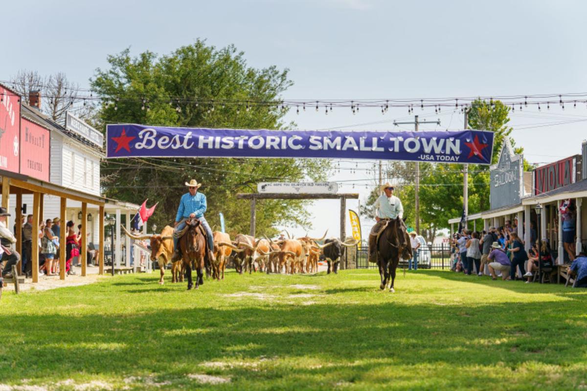 A cattle drive through Old Abilene Town