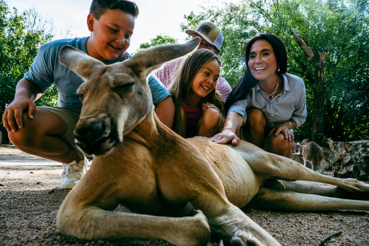 A family pets a kangaroo at Tanganyika Wildlife Park.