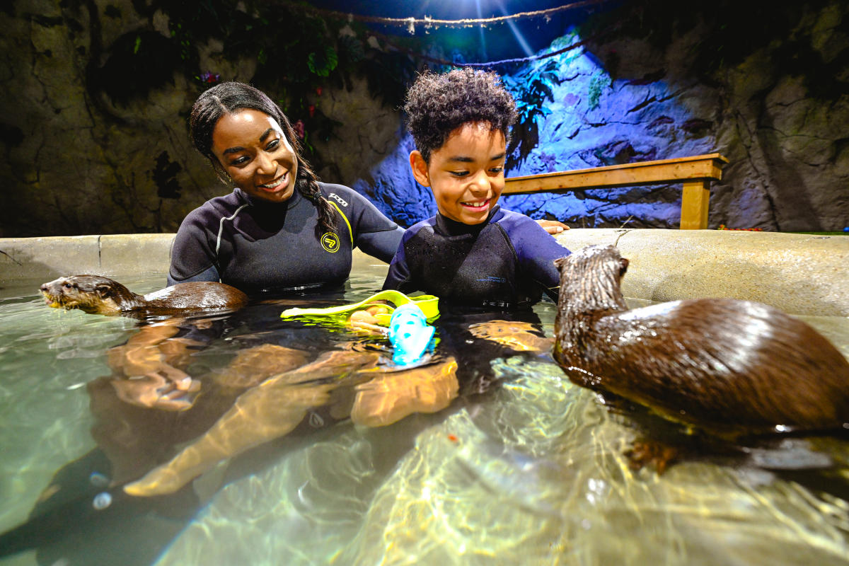 A girl and boy smile while they enjoy swimming with otters at Tanganyika Wildlife Park