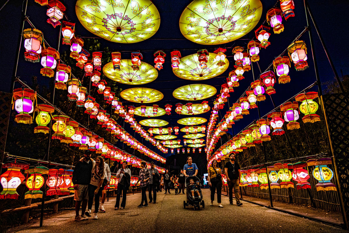 Asian Lanterns illuminate a path at Sedgwick County Zoo while visitors walk beneath it