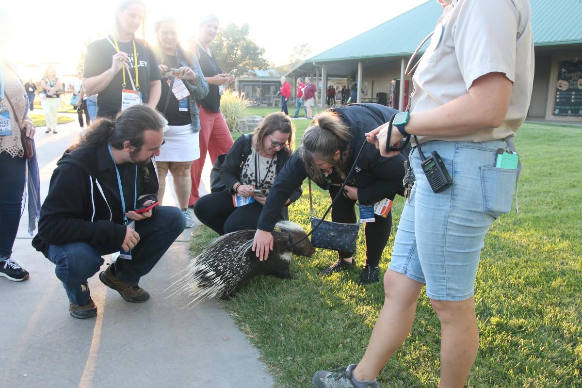 Visitors at Tanganyika Wildlife Park pet a porcupine