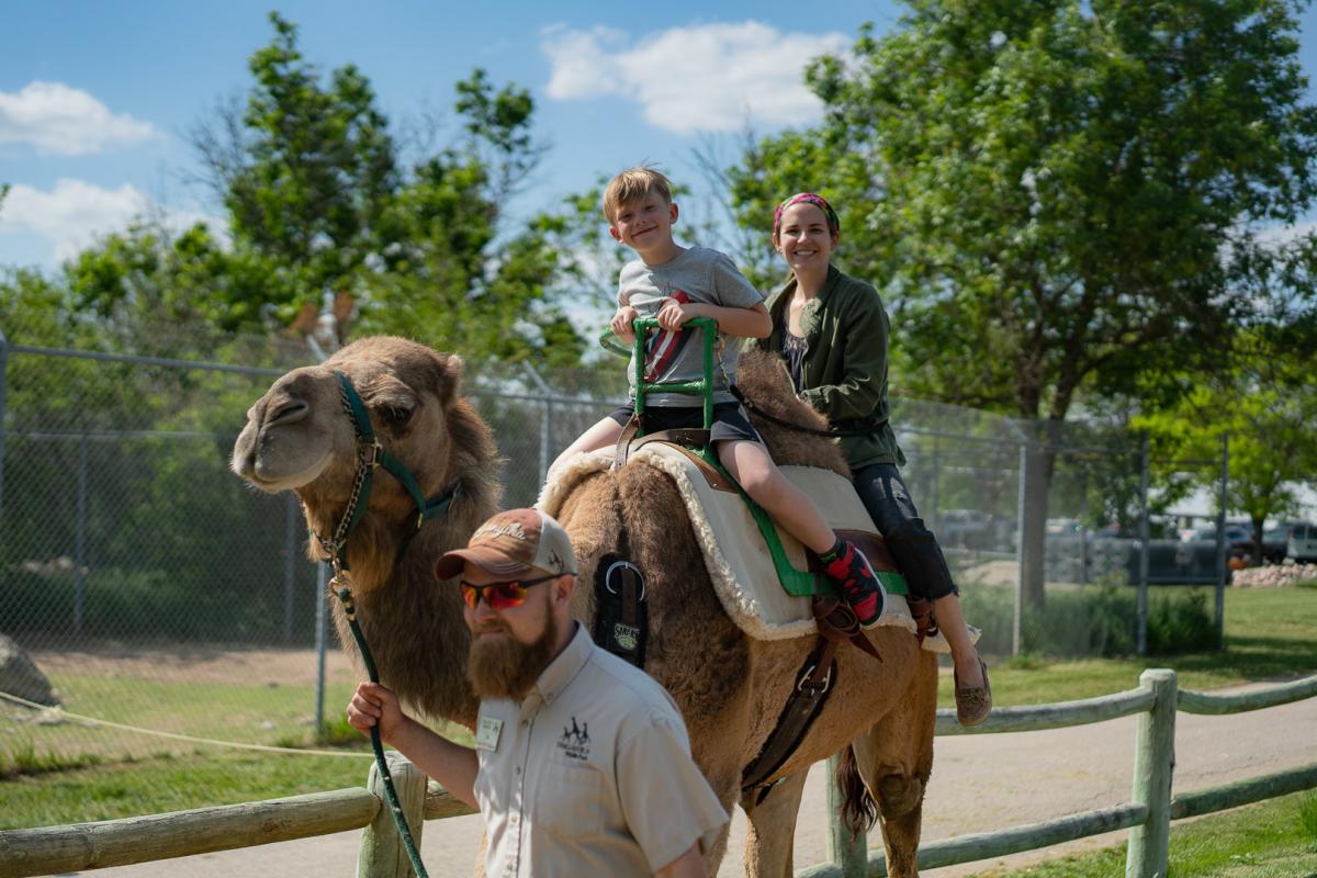 Two people ride a camel at Tanganyika Wildlife Park
