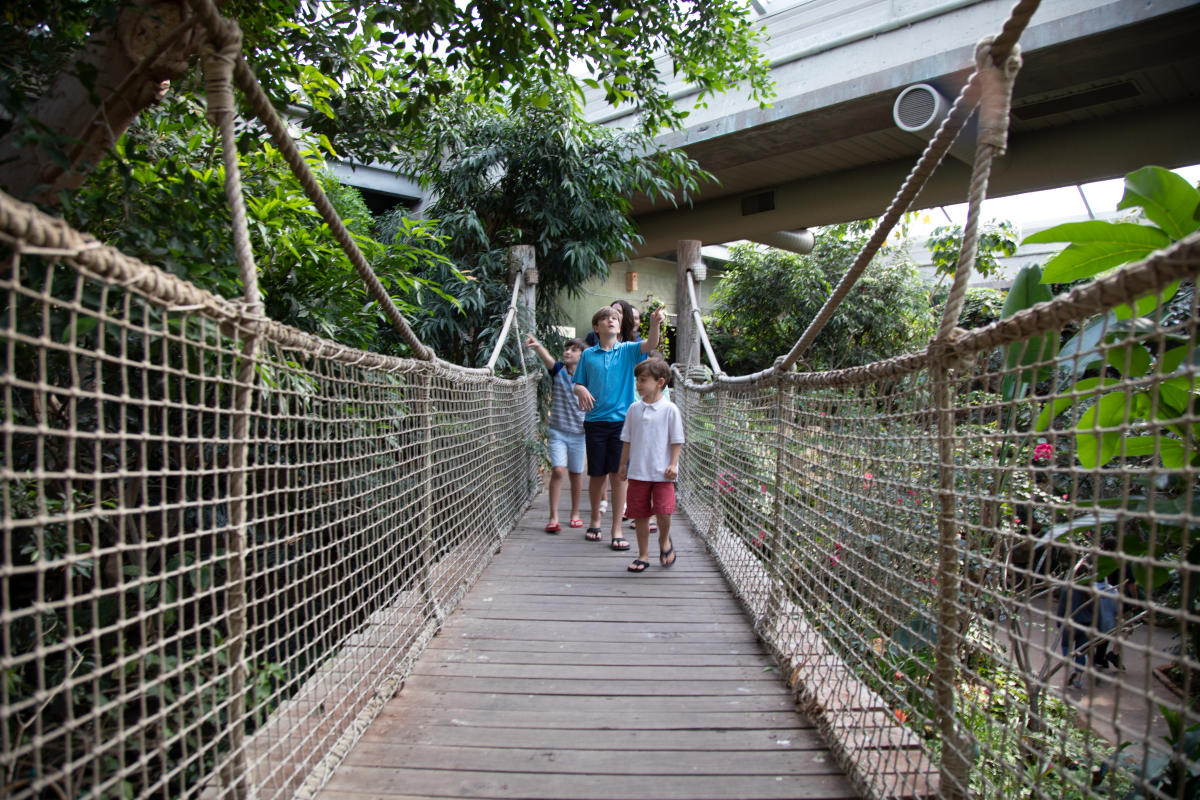 Family in rainforest at Sedgwick County Zoo