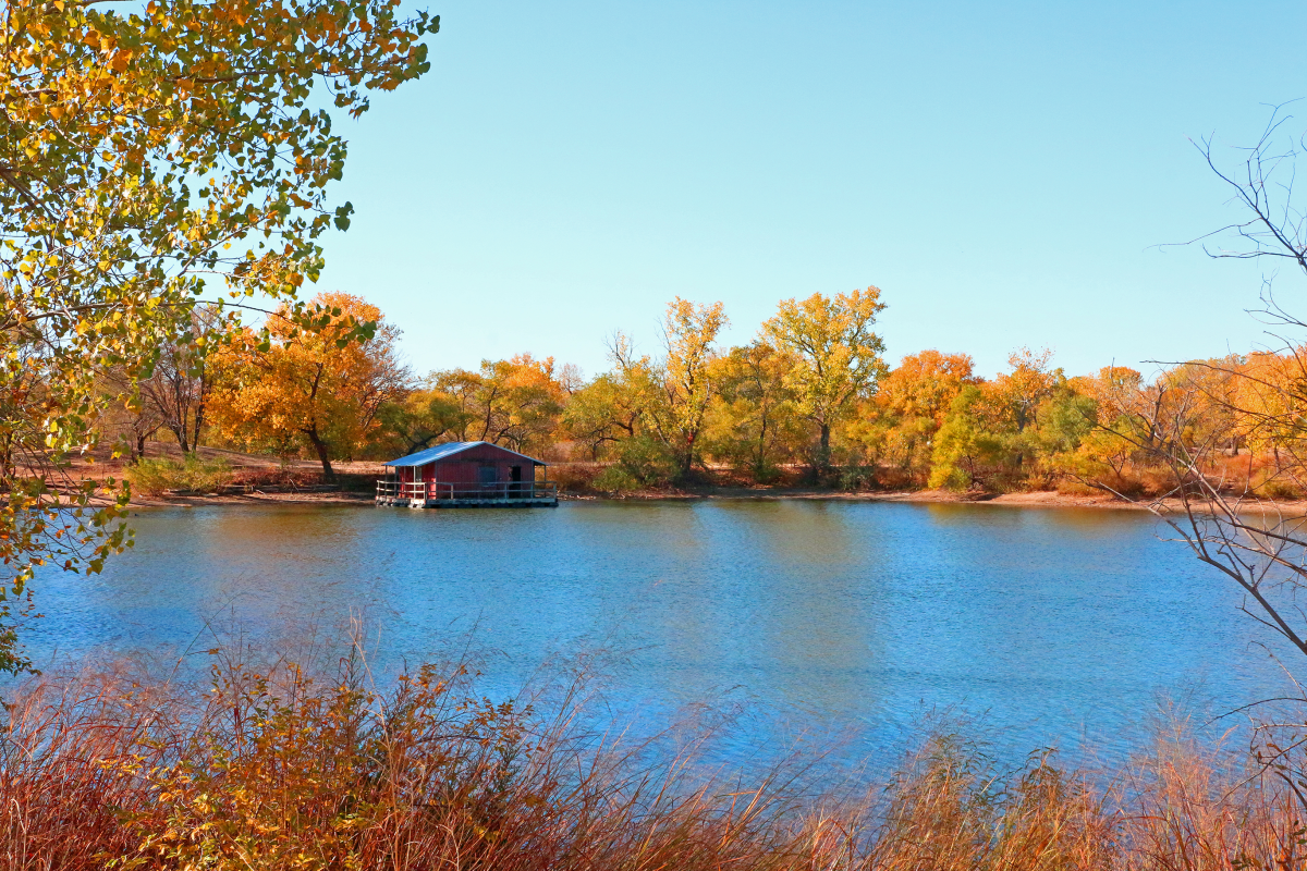 The leaves have turned yellow on the trees surrounding a pond and dock at Sedgwick County Park