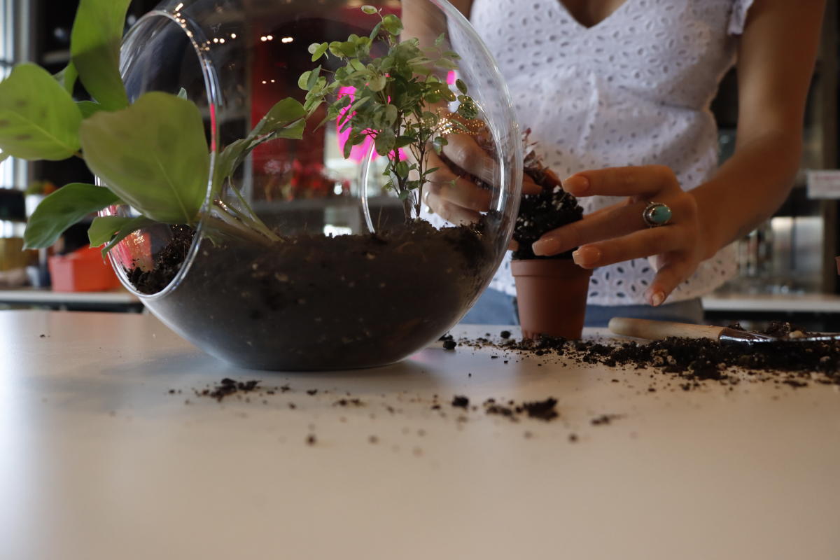 A woman works on building her own terrarium at Grow Giesen Plant Shop