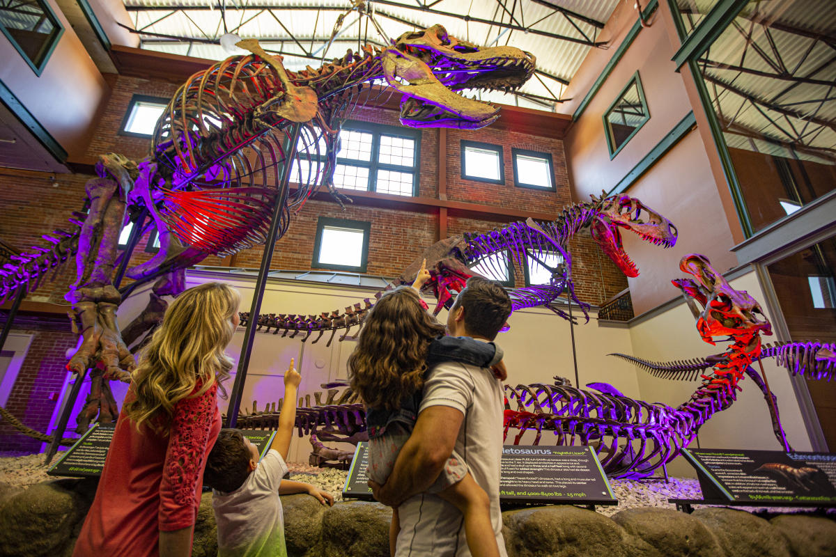 A family looks at a T-Rex fossil at Museum of World Treasures