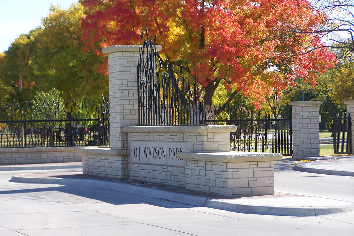 The leaves on the trees at OJ Watson Park turn orange