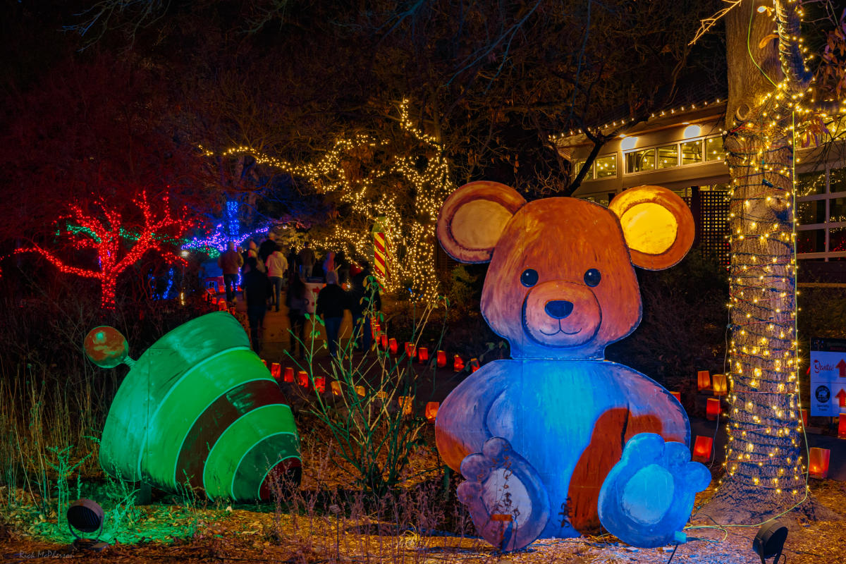 Lights an Christmas decorations accent a decorative bear at Illuminations at Botanica Wichita