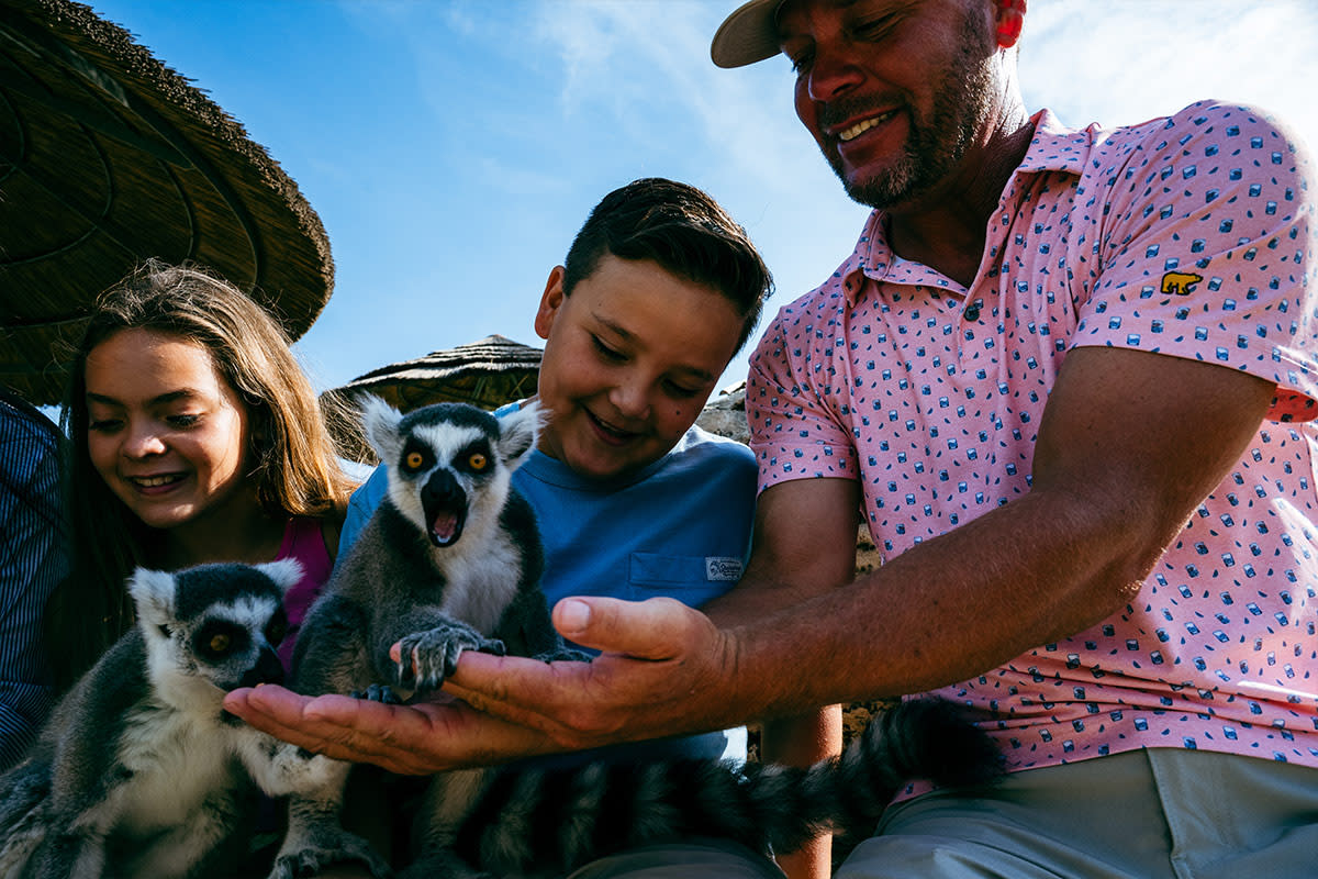 A family feeds two lemurs on their laps at Tanganyika Wildlife Park
