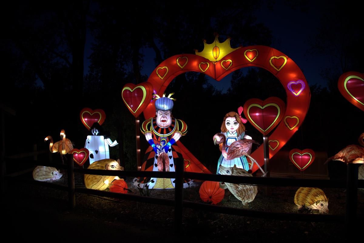 Asian lanterns in the shapes of the Queen of Hearts and Alice from Alice In Wonderland are lit during Wild lights