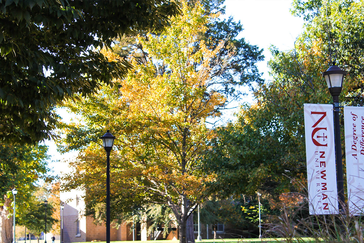Leaves change colors on the trees on the campus of Newman University