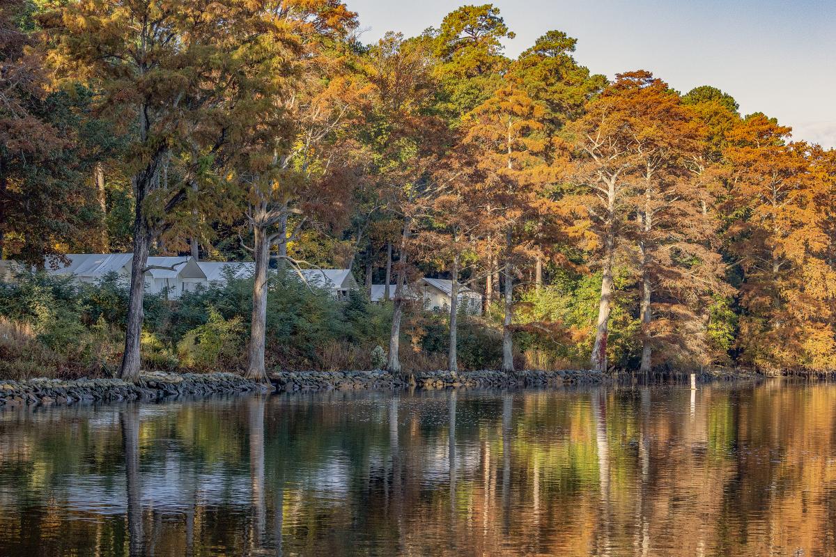 Chickahominy Riverfront Park Fall