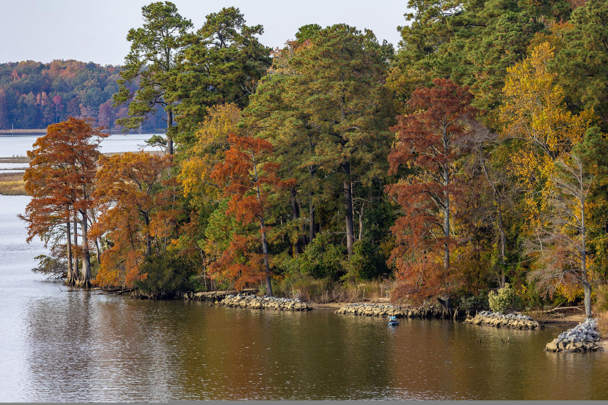 Chickahominy Riverfront Park Fall