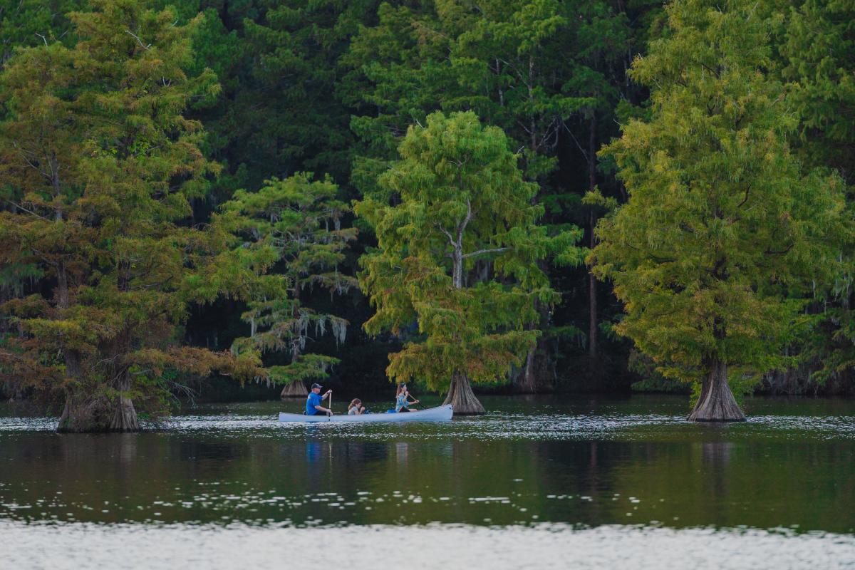 Canoeing on Greenfield Lake