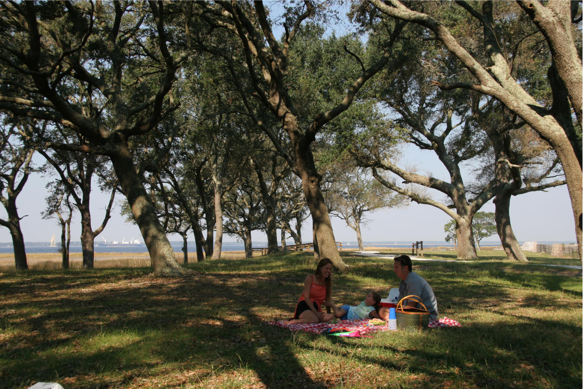 Family picnic