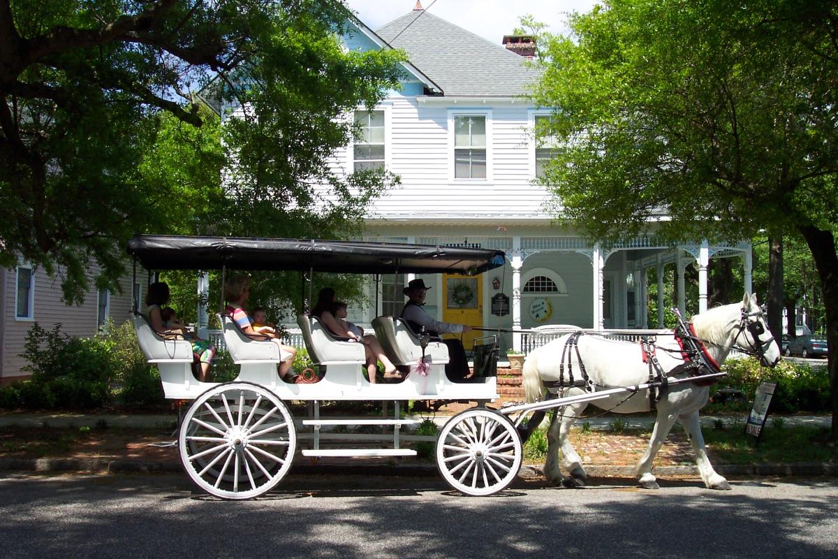 Horse Carriage Tour at Historic Home