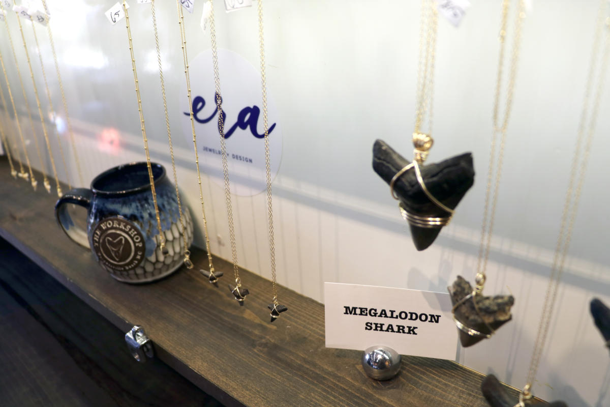 Megalodon necklaces in case at The Workshop in Wrightsville Beach