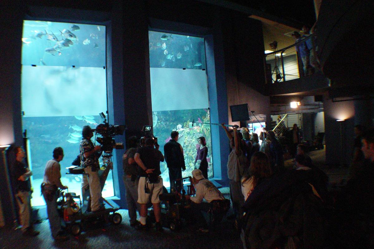 Dawson's Creek Films at Aquarium