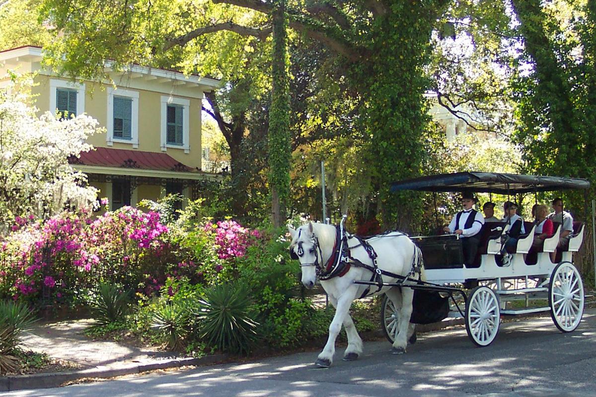 Carriage ride through historic district