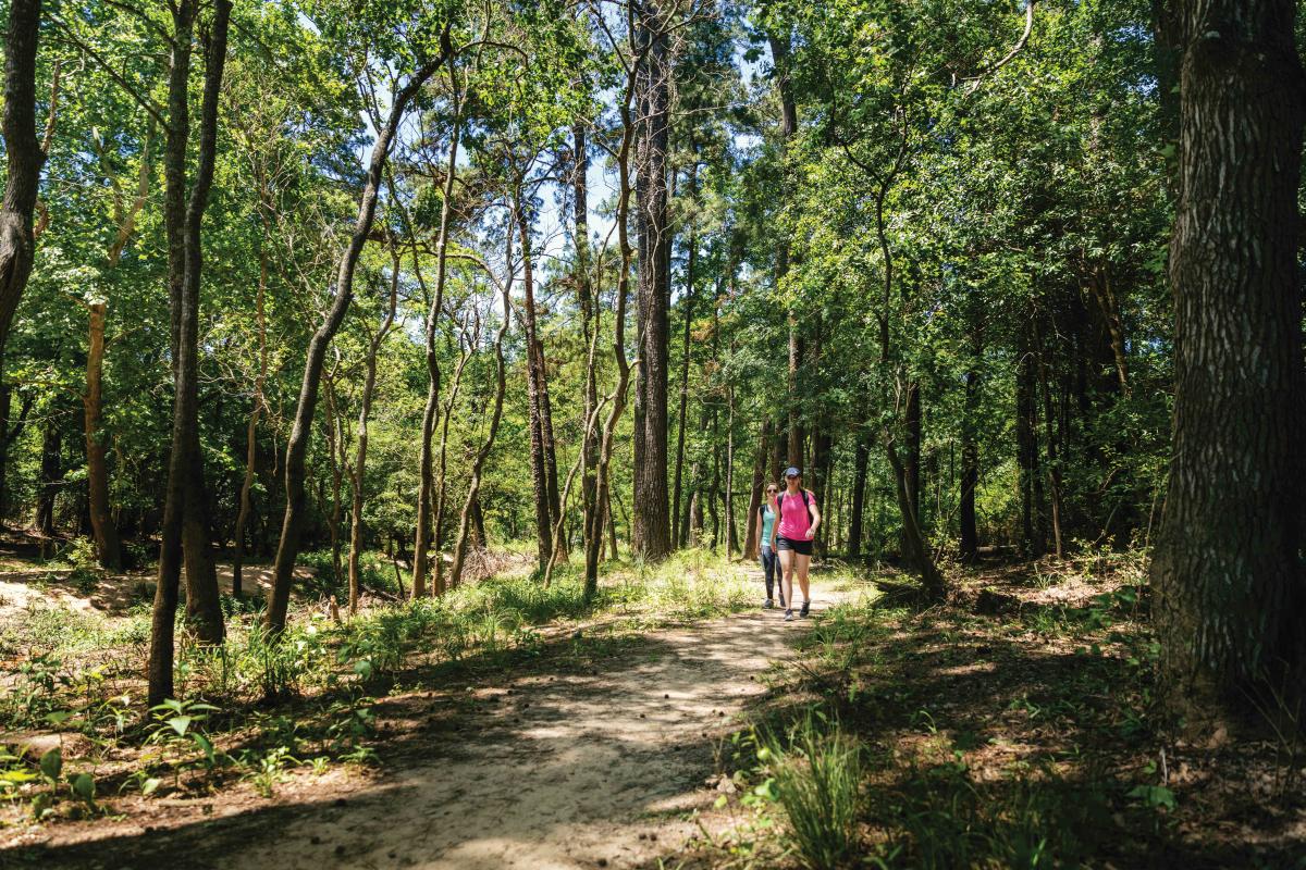 Hiking The George Mitchell Nature Preserve